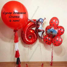 Шар-гигант и Леди баг для доченьки на 6 лет