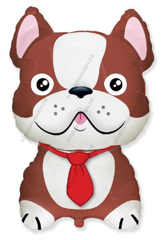 Гелиевый шар , Бульдог, Коричневый, 71 см.