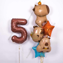 Набор шаров на День рождения "Милые капибары"