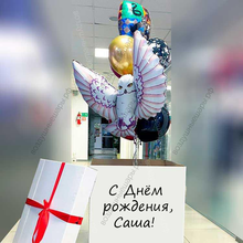 Коробка с букетом шаров "Гарри Поттер поздравляет с Днем рождения"