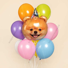 Сет разноцветных шариков с собакой Померанский Шпиц