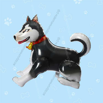 Шарик ходячий Хаски, Черный