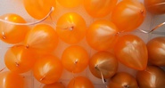 Новость: Что выгоднее: самостоятельно надуть шары с гелием или заказать доставку гелиевых шариков