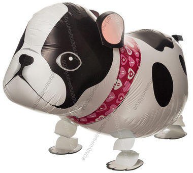 Шар Собака Французский бульдог с гелием, ходячий