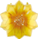 1 шт. цвктоу желтый