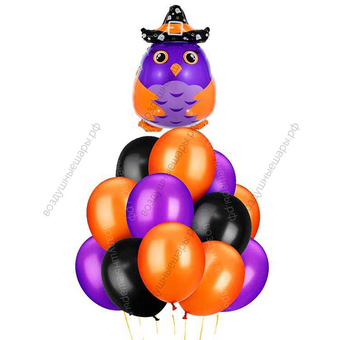 Букет из гелиевых шаров Сова-волшебница на Хэллоуин