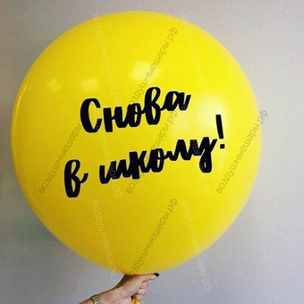 Большой шар с гелием "Снова в школу" (65см)