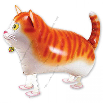 Шар Кот, Кошка с гелием, "Котик ходячий"
