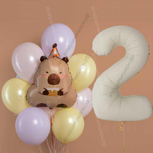 Сет Капибара с тортом, шарами макарунс на 2 года