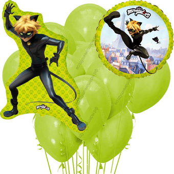 Шарики на день рождение Супер-кот на страже города