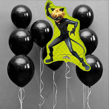 Фотосет из черных шаров с фигурой Супер-кот