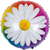 1 шт. Ромашка