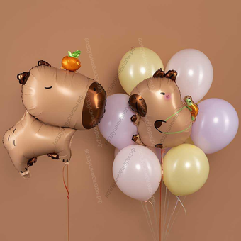 Набор Две Капибары с разноцветными шарами макарунс