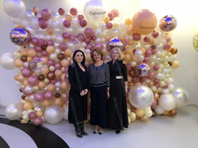 Фотофон (фотозона) из шаров (2,5м х 3,5м) "Корпоративный"