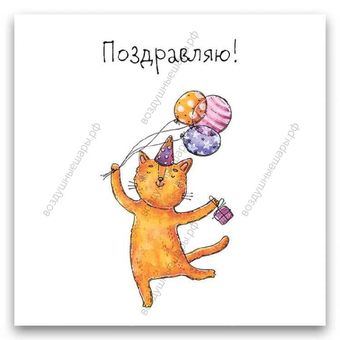  Открытка Поздравляю "Кот с шарами", 8х8 см