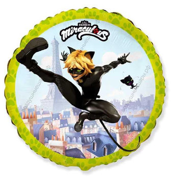 Шар с гелием  Круг, Супер-кот , Лайм, 46 см.